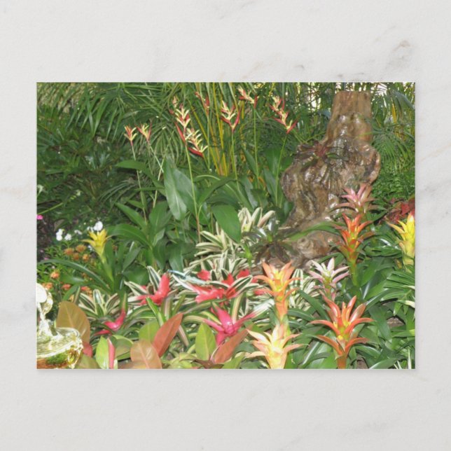 Flores en Aibonito Vykort (Framsida)