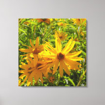 Flores en mi hierbas " blommor i min ogräs "