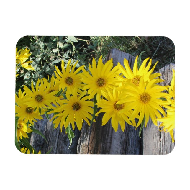 Flores en mi hierbas " blommor i min ogräs " magnet (Horisontell)