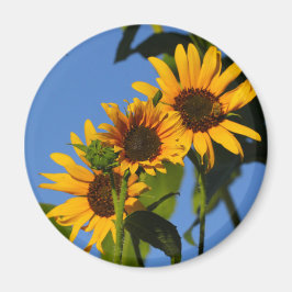 Flores en mi hierbas " blommor i min ogräs " magnet