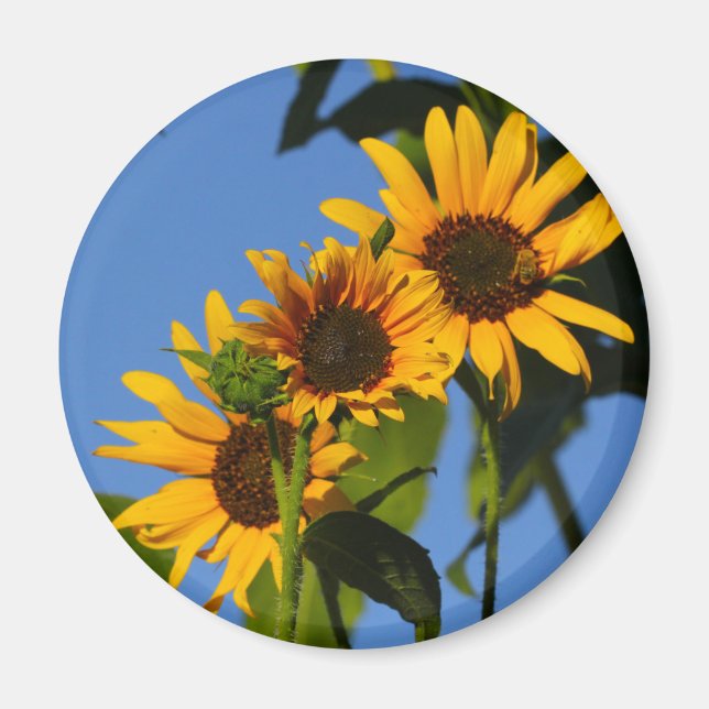 Flores en mi hierbas " blommor i min ogräs " magnet (Framsidan)