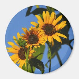 Flores en mi hierbas " blommor i min ogräs " magnet