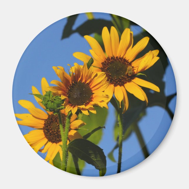 Flores en mi hierbas " blommor i min ogräs " magnet (Framsidan)