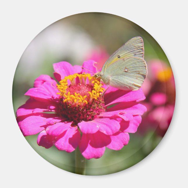 Flores en mi hierbas " blommor i min ogräs " magnet (Framsidan)