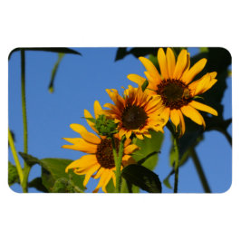 Flores en mi hierbas " blommor i min ogräs " magnet