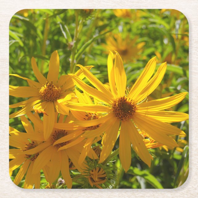 Flores en mi hierbas " blommor i min ogräs " underlägg papper kvadrat (Framsidan)