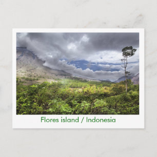 Flores Island/Indonesien Vykort