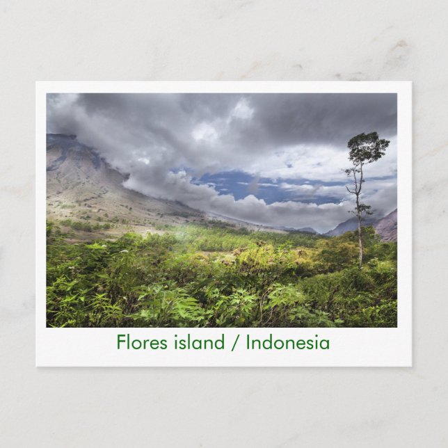 Flores Island/Indonesien Vykort (Framsida)