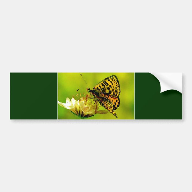 Florfjäril Bildekal (Framsidan)