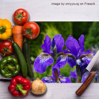Florfoto av iris sibirica