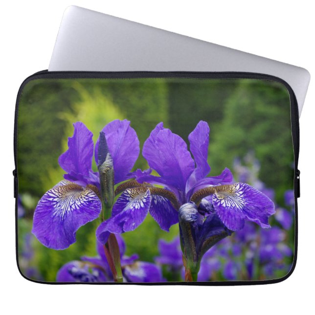 Florfoto av iris sibirica laptop fodral (Framsidan)