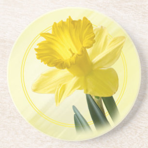 Florfoto Gult Daffodil Nature Pic Underlägg