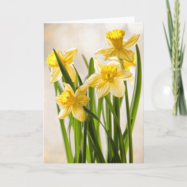 Florfotografi: Gult Vår Daffodils Kort (Framsida)