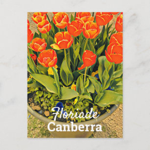 Floriade Canberra Australiens blomtulipfestival Vykort