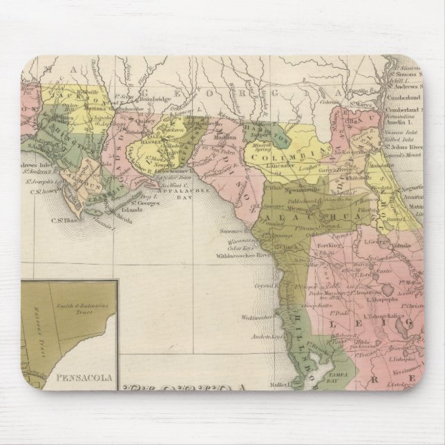Florida 12 musmatta (Framsidan)