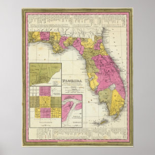Florida 7 poster