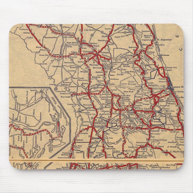 Florida 9 musmatta (Framsidan)