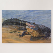 Florida Alligator. Ansikte till ansikte