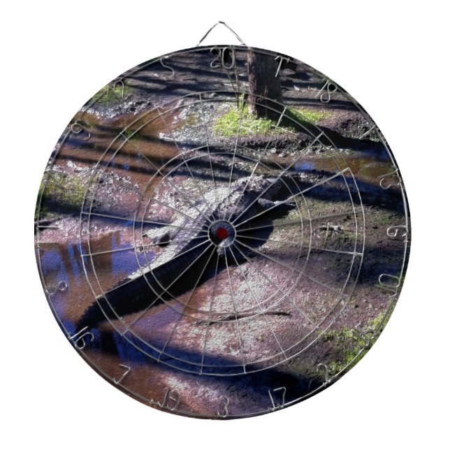 Florida alligator darttavla (Framsidan)