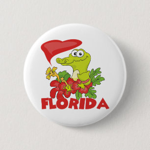 Florida alligator knapp
