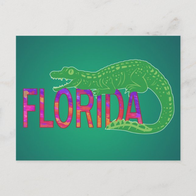 Florida Alligator Vykort (Framsida)