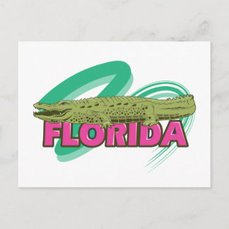 Florida Alligator Vykort