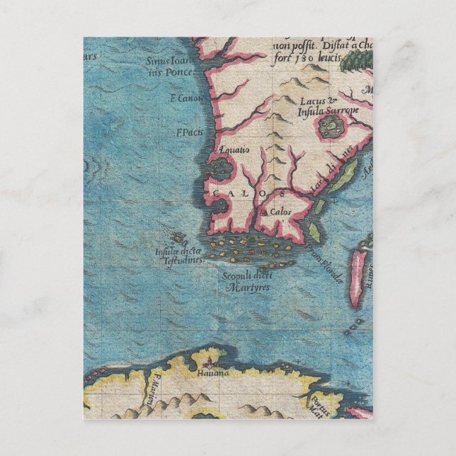 Florida and Cuba Vykort (Framsida)