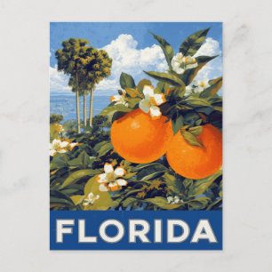 Florida Apelsiner Vintage Resa Vykort
