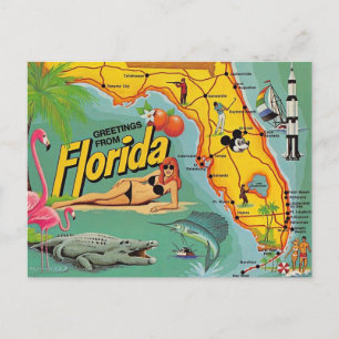 Florida Attraktionskarta Vykort