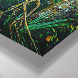 "Florida Backwood" Wall Art Canvastryck