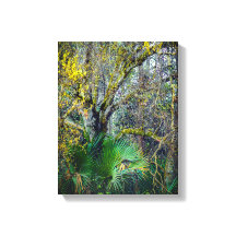 "Florida Backwood" Wall Art