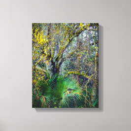 "Florida Backwood" Wall Art Canvastryck