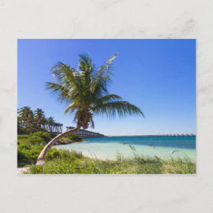 Florida - Bahia Honda-vykort Vykort