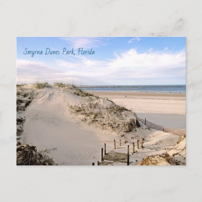 Florida Beach Dunes Park Ponce Inlet Postcard Vykort (Framsida)