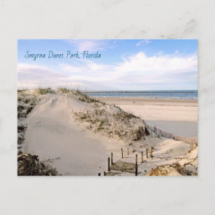 Florida Beach Dunes Park Ponce Inlet vykort