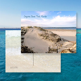 Florida Beach Dunes Park Ponce Inlet vykort