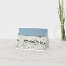 Florida Beach med fiskmås bra art-fotografi