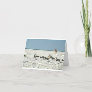 Florida Beach med fiskmås bra art-fotografi Tack Kort