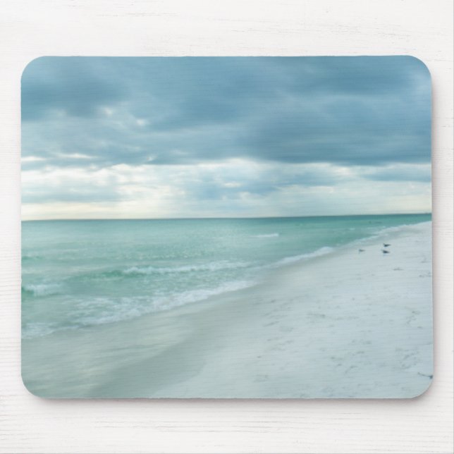 Florida Beach Musmatta (Framsidan)