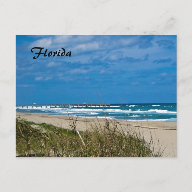 Florida Beach och Pier Vykort (Framsida)