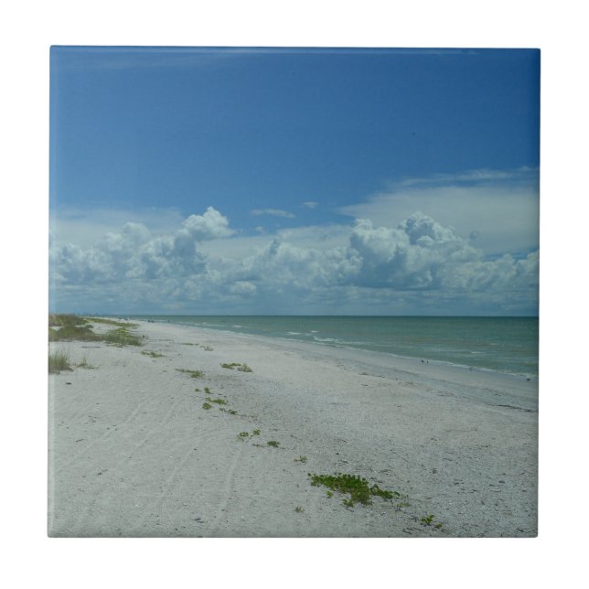 Florida Beach Paradise Photograph Kakelplatta (Framsidan)