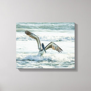 Florida Beach Pelican Canvastryck