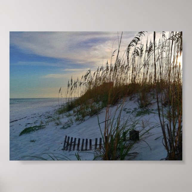 Florida Beach Poster (Framsidan)