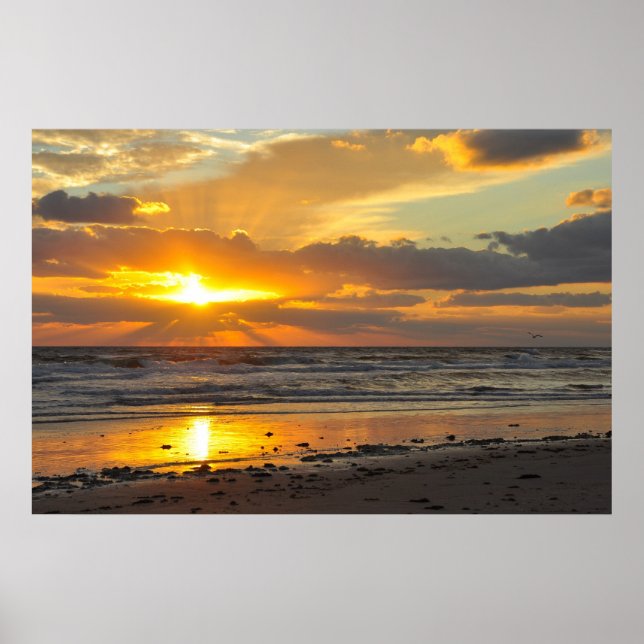 Florida Beach Scenia Sunrise Poster (Framsidan)