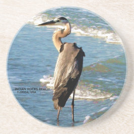 Florida Beach Underbar Blue Heron Bird Nature Phot Underlägg