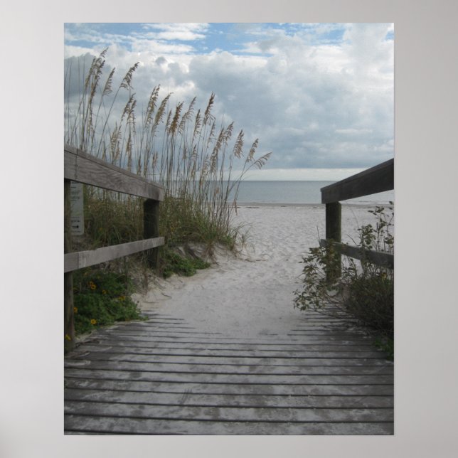Florida Beach Väg Poster (Framsidan)