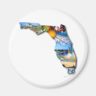 FLORIDA BILD DESIGN MAGNET