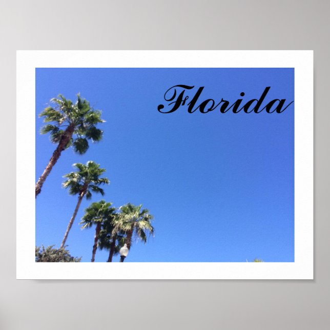 Florida Blå himmel Poster (Framsidan)