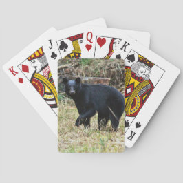 Florida Black Bear Casinokort