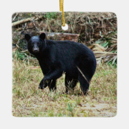 Florida Black Bear Julgransprydnad Keramik
